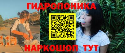 крисы Гай