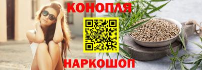 прущие крисы Гагарин