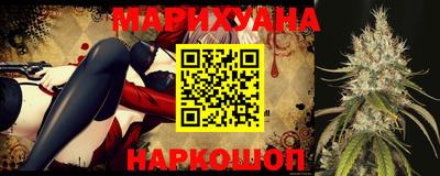 крисы Гай
