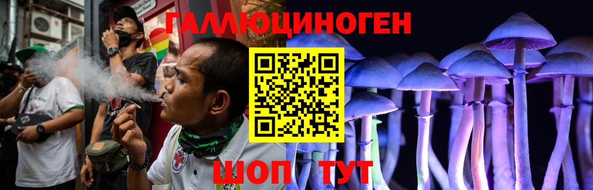 Гуково  Псилоцибиновые грибы MAGIC MUSHROOMS  Вход с VPN 