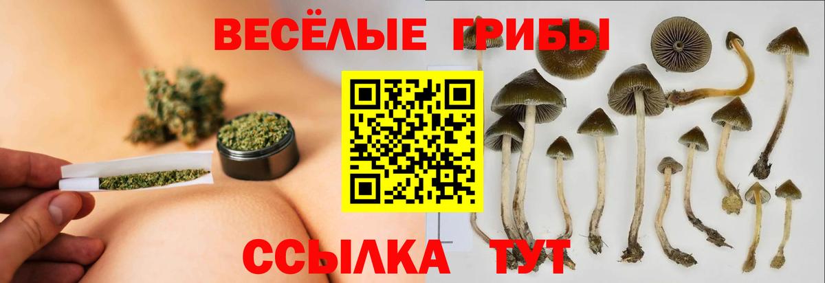 Галлюциногенные грибы Magic Shrooms Гуково